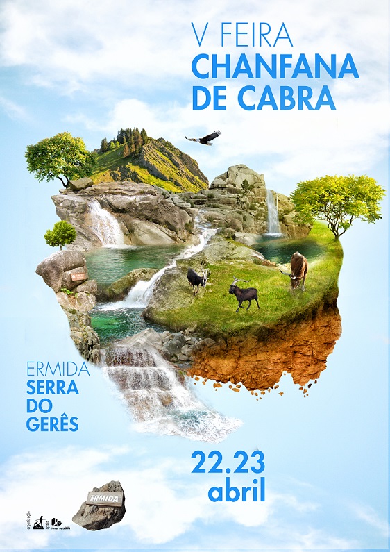 Cartaz VFeira