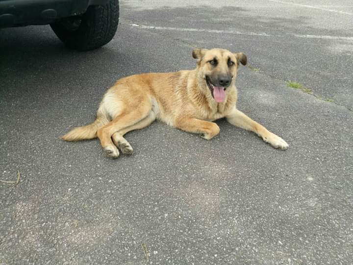 FB IMG 1589206820032