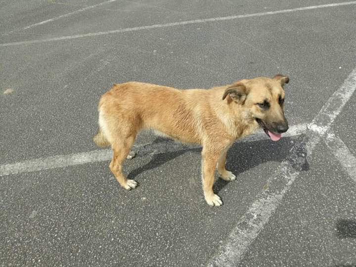 FB IMG 1589206887115