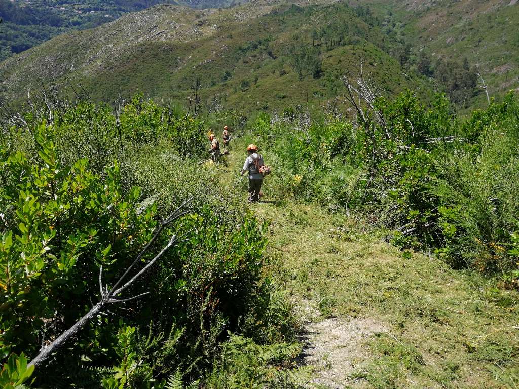 Limpeza descida Furna Carvão Sapadores