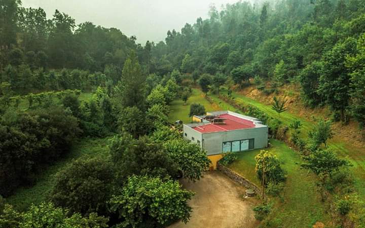 FB IMG 1594737556602