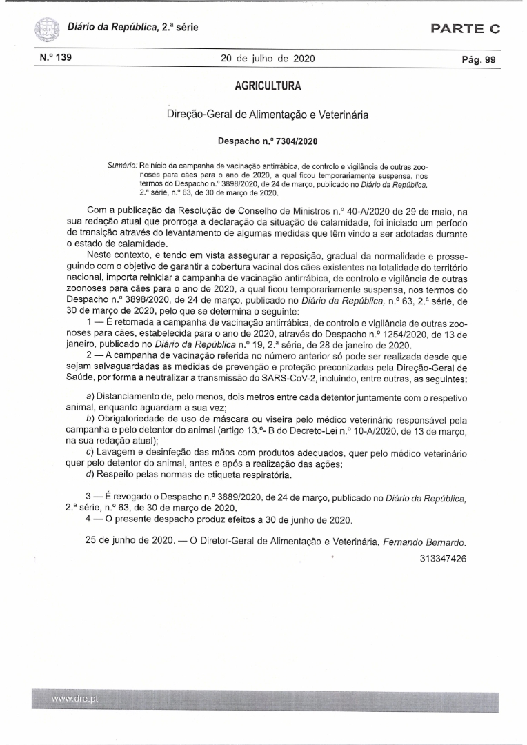 Despacho 7304 2020 Large