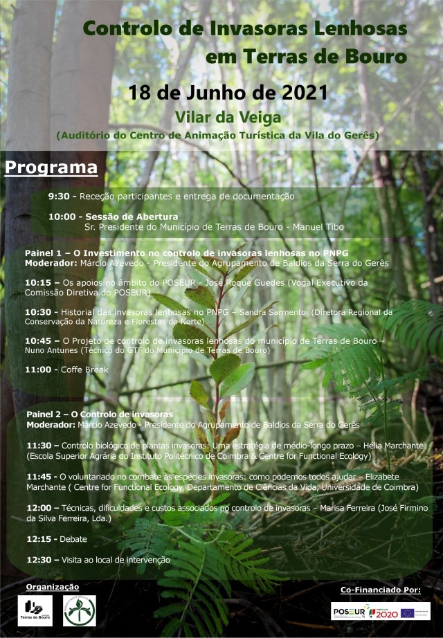 Cartaz oficial Custom