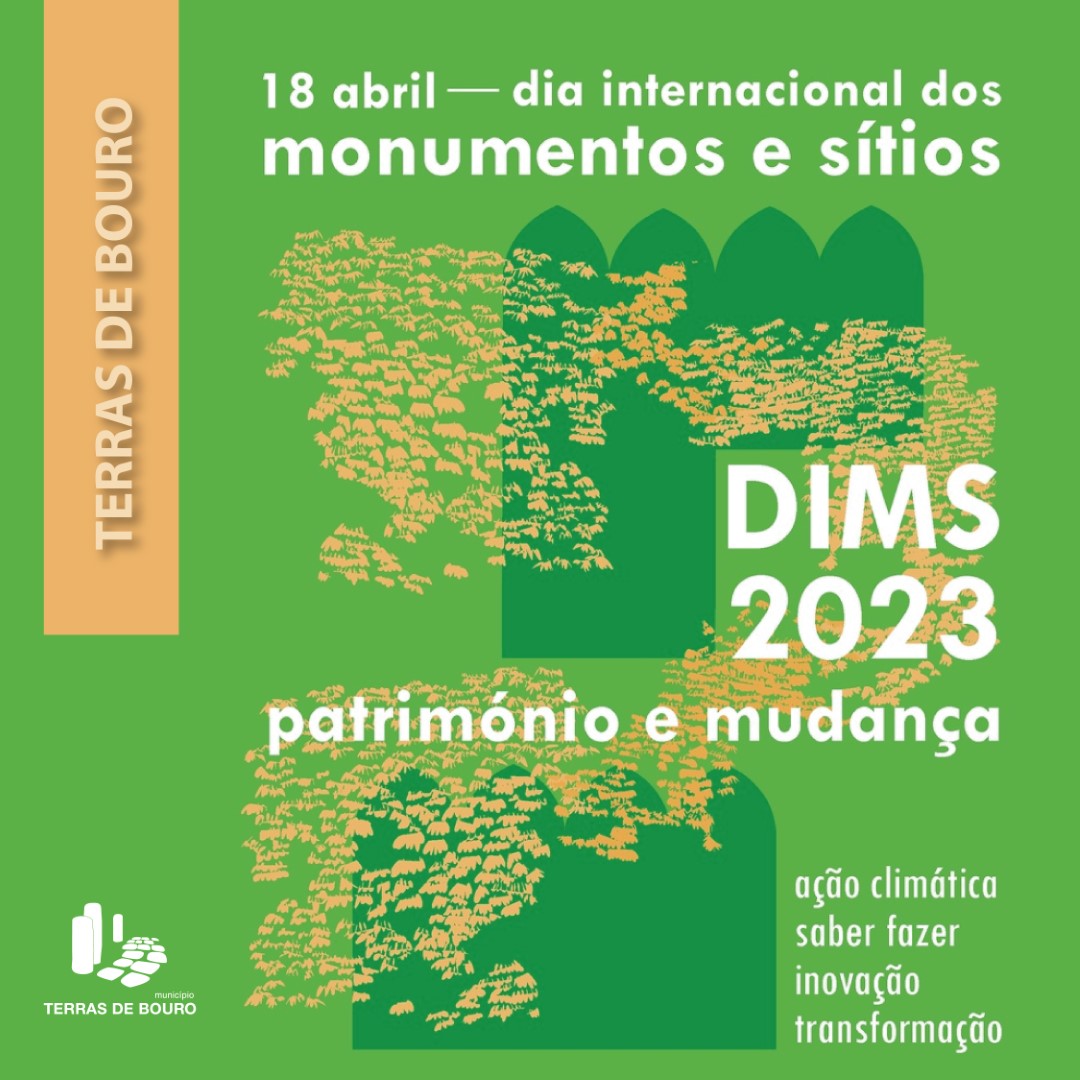 dims2 01