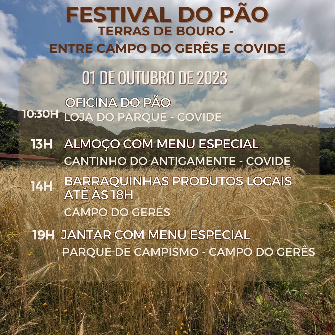 WhatsApp Image 2023 09 19 at 16.29.12