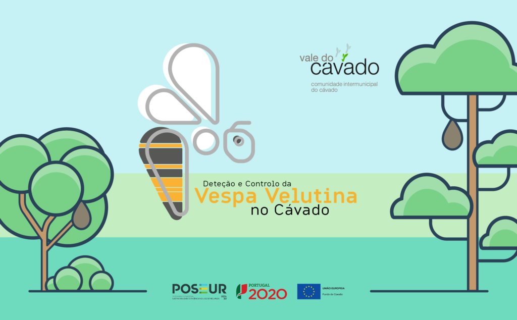VespaVelutina Banner 1024x634